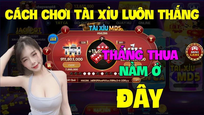 Mẹo chơi tài xỉu online